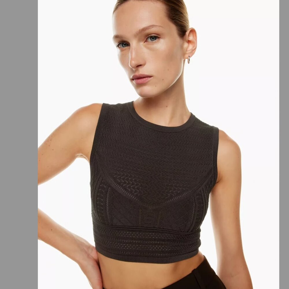 Aritzia Babaton Knit Crop Top size M